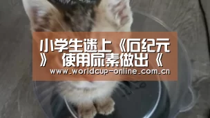 小学生迷上《石纪元》 使用尿素做出《鬼灭之刃》300亿之男?:World Cup 2026(图1) World Cup 2026