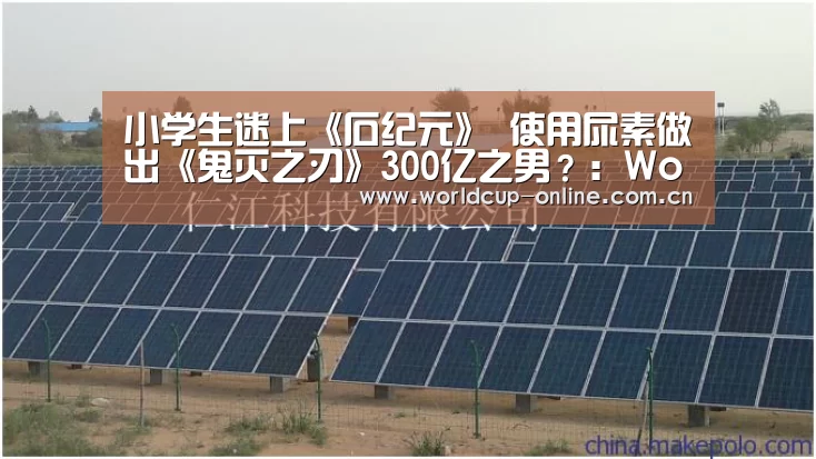 小学生迷上《石纪元》 使用尿素做出《鬼灭之刃》300亿之男?:World Cup 2026(图3) 世界杯中文网
