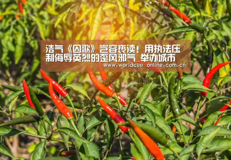 浩气《囚歌》岂容亵渎!用执法压制侮辱英烈的歪风邪气_举办城市(图1) 世界杯中文网