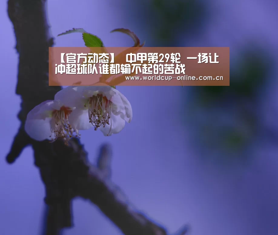 官方动态