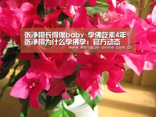 世界杯中文网