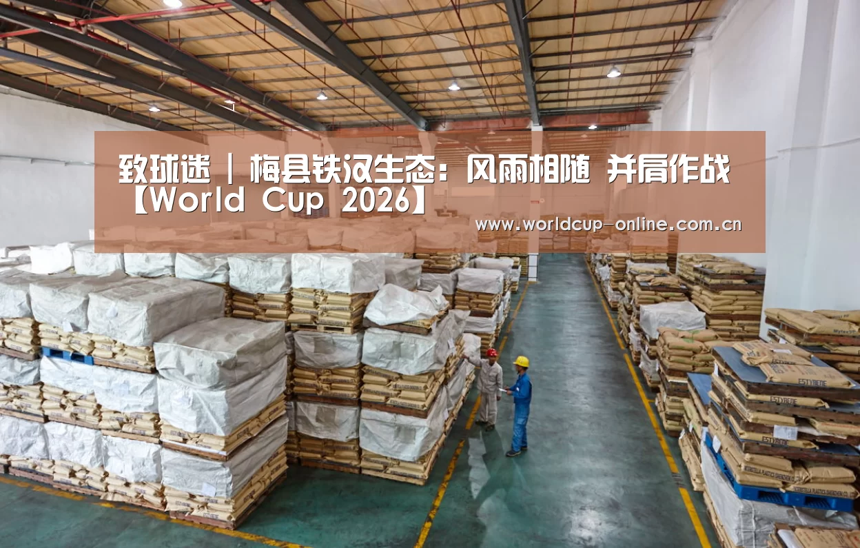 世界杯中文网