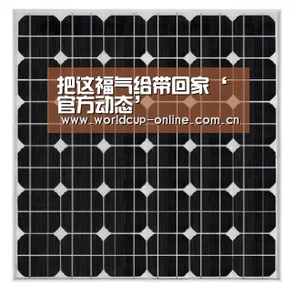 世界杯中文网