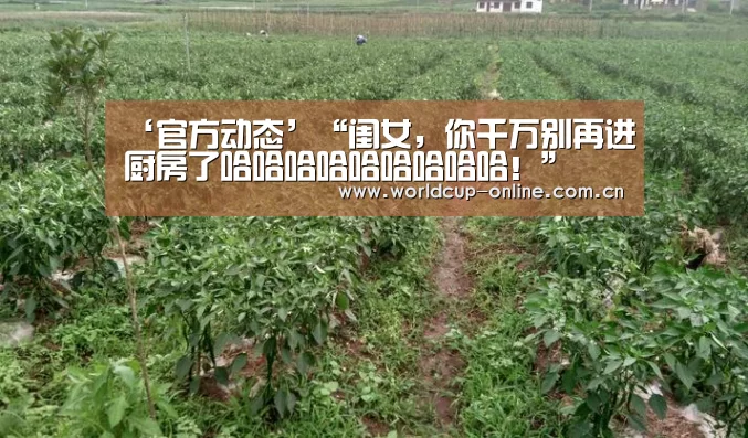 世界杯中文网